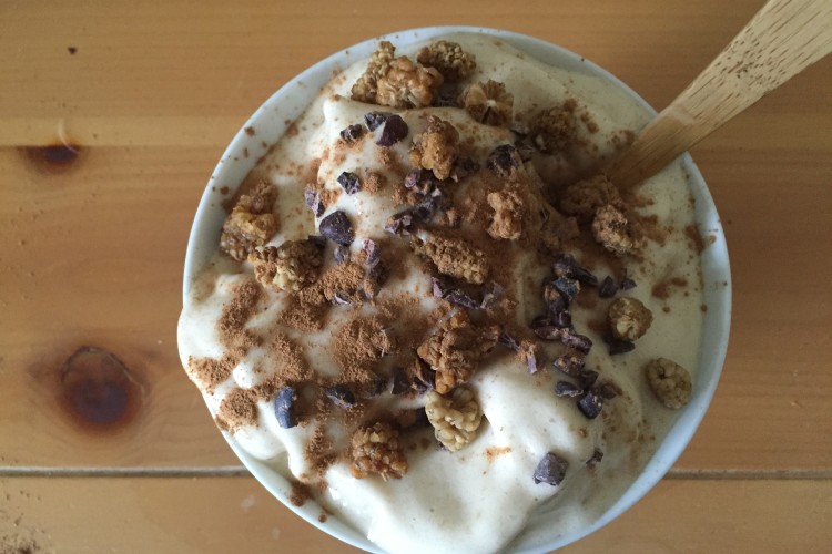 Super Simple Vegan Vanilla Ice Cream Recipe: Only two ingredients!